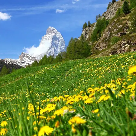 Zur Matte B-1 By Interhome Apartment Zermatt
